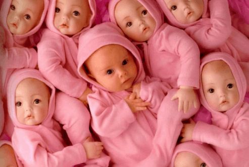 苏医生
